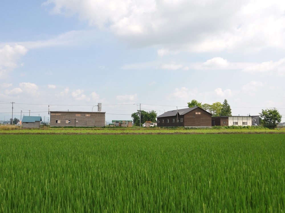 【木と暮らしの工房】シラカバ・フォトフレーム　2L判