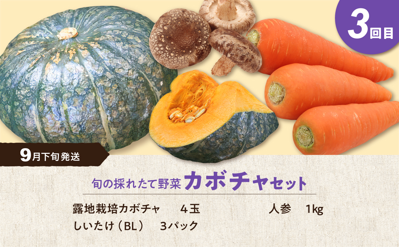 【5回定期便】旬の採れたて野菜「贅沢セットＣ」
