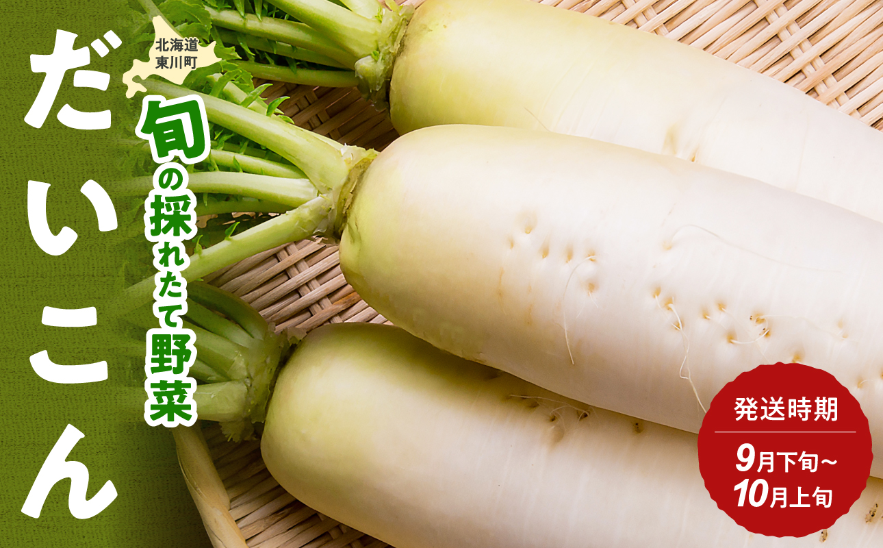 【9月下旬〜10月上旬発送】旬の採れたて野菜「だいこん」