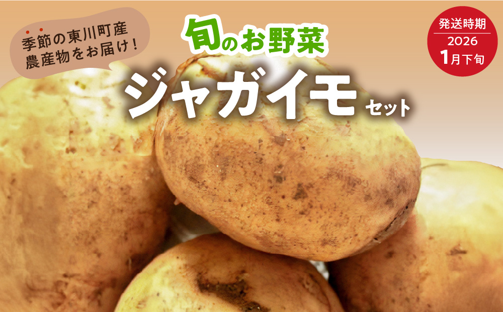 【1月下旬発送】旬のお野菜「越冬ジャガイモセット」