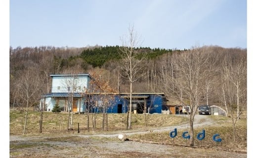 LPãžã£ã±ãããã¬ãŒã ãã«ã©ãŒïŒã°ãªãŒã³