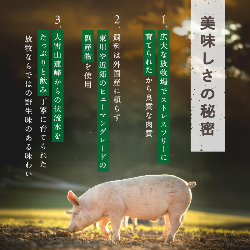 放牧豚”炭豚”の豚丼セット(150g×4)