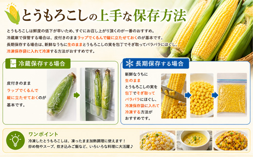 【令和8年産 先行予約】とうもろこし ドルチェドリーム 20本 MARUMOスイートコーン 本山農場