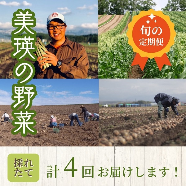 【令和７年産予約受付！】～美瑛の四季～ 野菜の定期便【白樺】4回便[039-04]