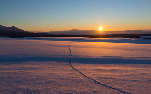 [017-46]美瑛町宿泊施設利用券1枚