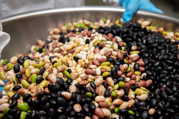 [013-51]丘の恵みびえい　豆ごころ５００ｇ×２パックセット