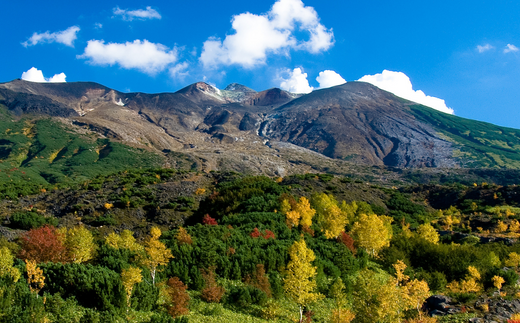 [017-46]美瑛町宿泊施設利用券1枚