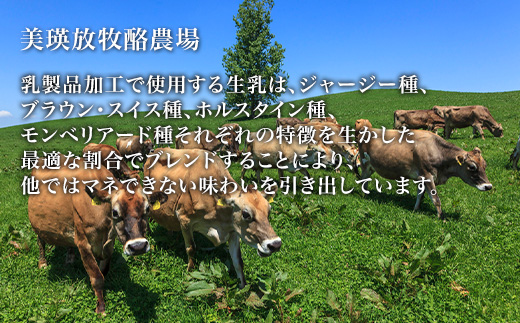 [096-10]美瑛放牧酪農場　フロマージュ・ド・美瑛 定期便　100g×3個 6ヶ月