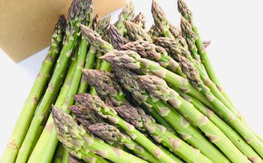 【令和8年産先行予約】北海道 美瑛町幻のアスパラ 本山農場のラスノーブル（グリーンアスパラ）M～Lサイズ 1kg ≪2回便≫[026-19]