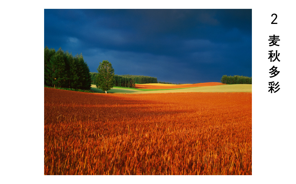 [084-06]前田真三 額付き写真（白木額） 六切サイズ