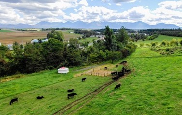 [027-14]ファームズ千代田「びえい和牛」リブロース360ｇ