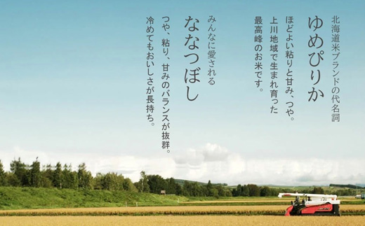 【先行予約】ななつぼし＆ゆめぴりか 定期便 各2kg×3回便 食べ比べセット 令和8年産 皇室献上米に選ばれた美瑛米 JAびえい