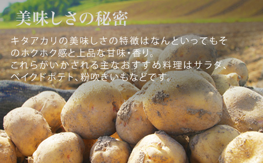 【令和８年産予約受付！】黒木農場　じゃがいも（北あかり）10kg[010-214]