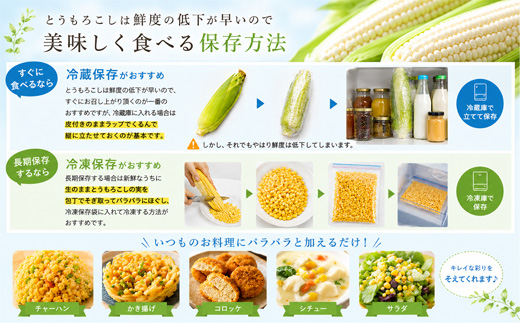 【先行予約】とうもろこし（ほしつぶコーン）8本 定期便 2回 <令和8年産 >黒木農場