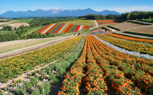 [017-46]美瑛町宿泊施設利用券1枚