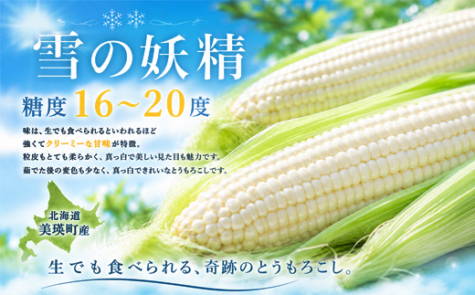 【先行予約】 とうもろこし （雪の妖精）20本 定期便 2回 <令和8年産 >黒木農場