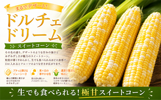 【令和8年産 先行予約】とうもろこし ドルチェドリーム 20本 MARUMOスイートコーン 本山農場