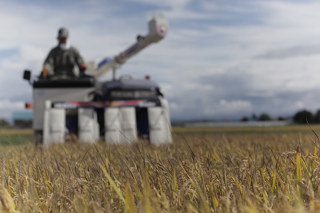 <令和7年産 >【4ヶ月定期便 2kg】 ななつぼし 定期便 2kg × 4回便 『皇室献上米 特A』皇室献上米に選ばれた美瑛米 !JAびえい | 新米 令和7年 米 お米 こめ コメ 2kg 4か月 4カ月 ブランド米 ごはん ななつぼし 精米 白米 北海道 美瑛 美瑛町 北海道美瑛町 [032-23]