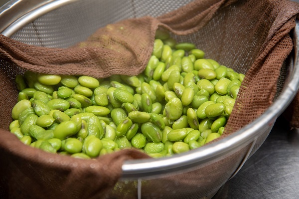 [013-51]丘の恵みびえい　豆ごころ５００ｇ×２パックセット