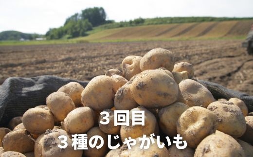 【令和７年産予約受付！】黒木農場　野菜の定期便A【大】（３回便）グリーンアスパラ（M～2Lサイズ）2kg、ほしつぶコーン10本＆雪の妖精10本、じゃがいも3種セット（男爵、キタアカリ（M～2L混）、インカのめざめ（2S以上混））各3kg[056-04]