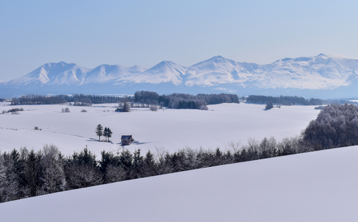 [100-01]美瑛町宿泊施設利用券６枚