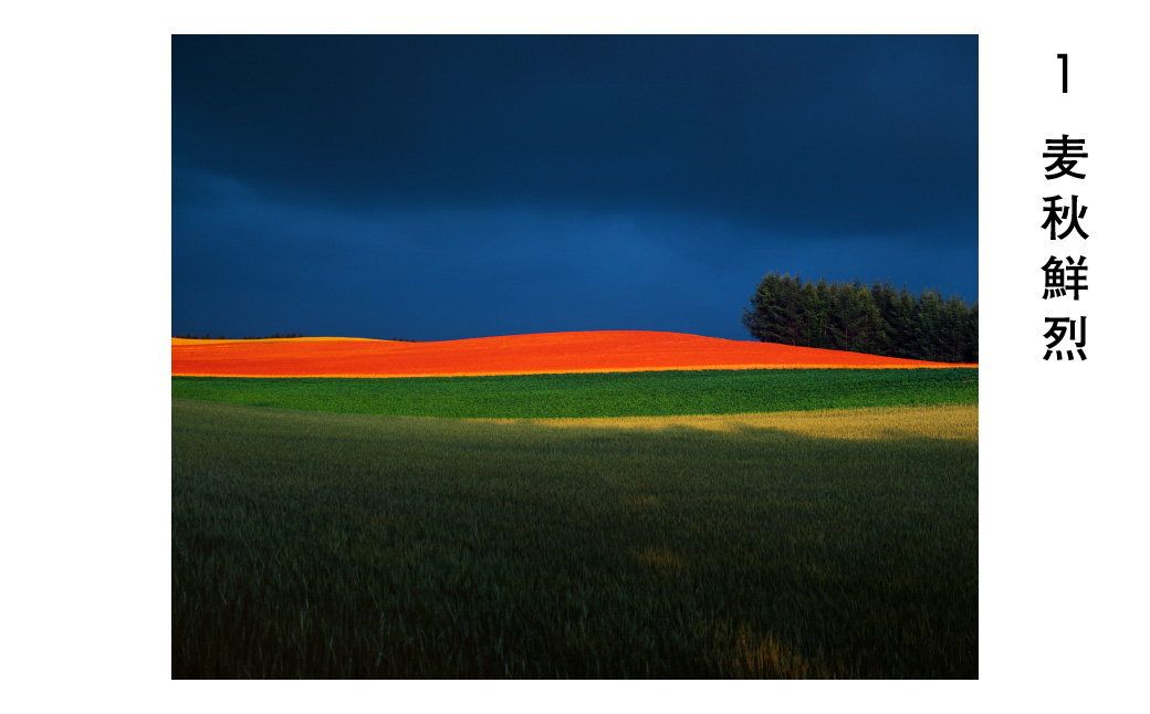 [040-19]前田真三　額付き写真（黒額）　キャビネサイズ