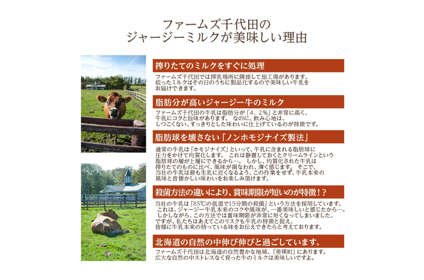 繧ク繝」繝シ繧ク繝シ迚帑ケウ 200ml テ 10譛ャ 繝輔ぃ繝シ繝繧コ蜊莉」逕ー