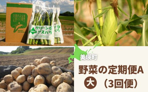 【令和７年産予約受付！】黒木農場　野菜の定期便A【大】（３回便）グリーンアスパラ（M～2Lサイズ）2kg、ほしつぶコーン10本＆雪の妖精10本、じゃがいも3種セット（男爵、キタアカリ（M～2L混）、インカのめざめ（2S以上混））各3kg[056-04]