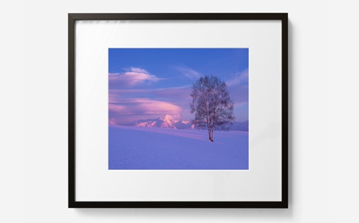 120-10]前田真三 額付き写真（黒額） 四切サイズ｜JALふるさと納税サイト