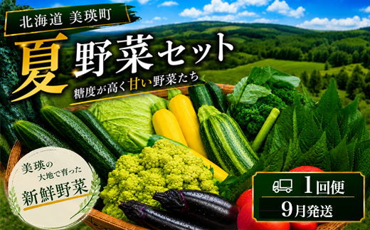 【令和8年産】旬の野菜7～9種の詰め合わせセット 9月発送 美景農園