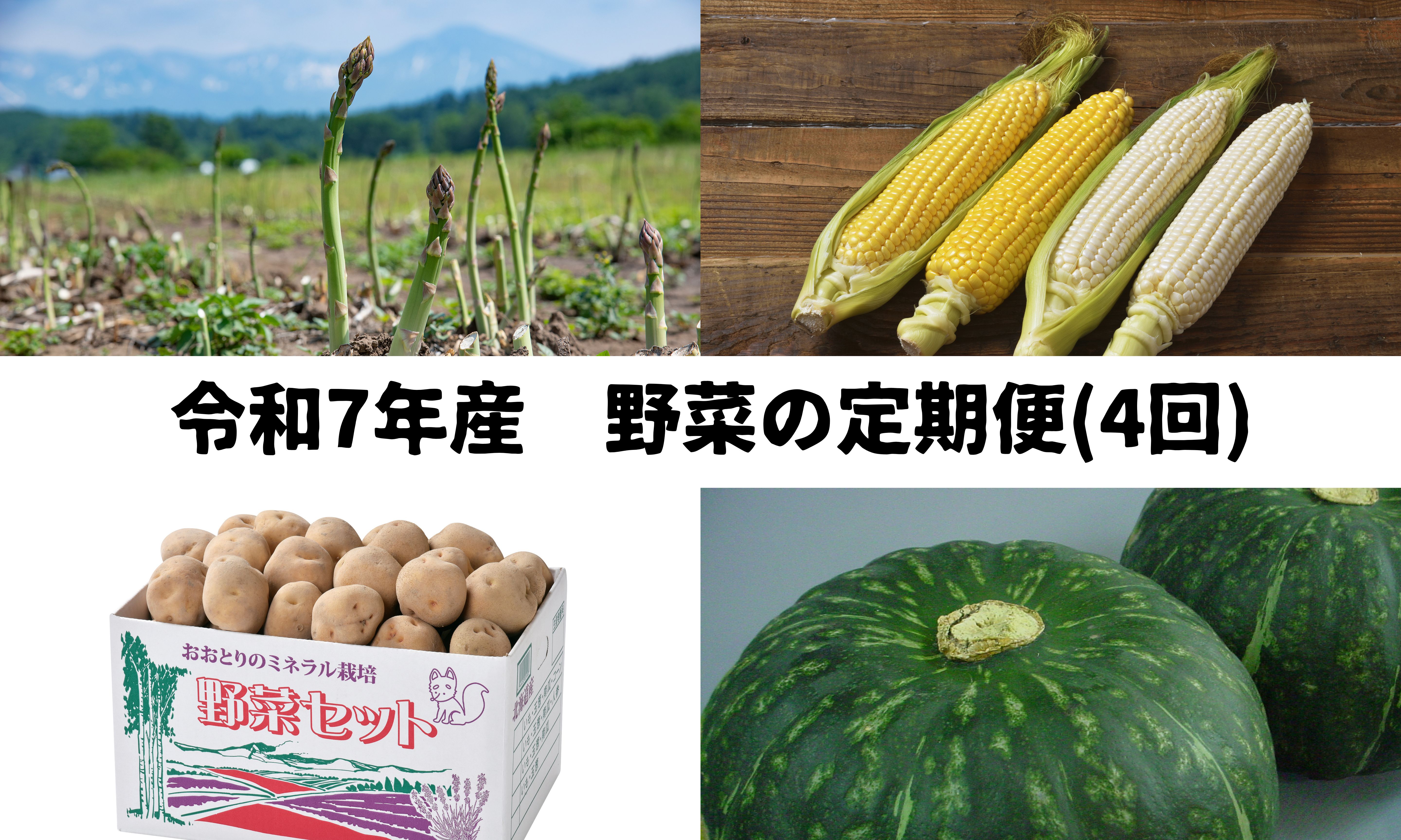 ≪令和７年産予約受付！≫おおとり　野菜の定期便（４回）[053-06]