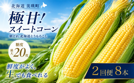 【先行予約】とうもろこし（ほしつぶコーン）8本 定期便 2回 <令和8年産 >黒木農場