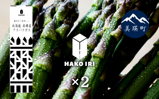 【先行予約】令和８年産！ 幻のアスパラ ラスノーブルHAKOIRI「畑発・冷蔵庫のドアポケット行」×２箱　墫乃字 [020-94]