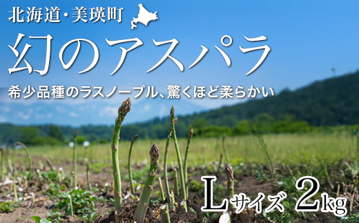 【先行予約！令和8年産】幻のアスパラ「ラスノーブル」Lサイズ 2kg グリーンアスパラ おおとり[024-74]