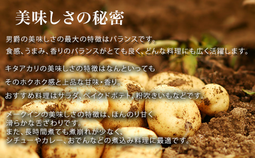 【令和８年産予約受付！】黒木農場　じゃがいも３種セット[011-61]