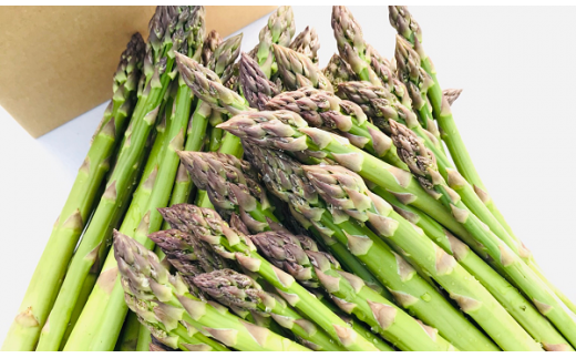 【令和8年産先行予約】美瑛町幻のアスパラ　本山農場のラスノーブル（グリーンアスパラ）2S～Sサイズ1kg[010-201]