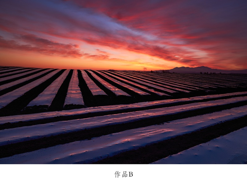 [250-04]写真家　中西敏貴　額付き写真（サイン入り）