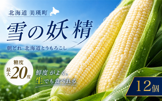 【令和８年産予約受付！】黒木農場　とうもろこし（雪の妖精）12本[011-57]