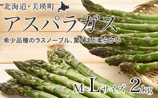 【先行予約！令和8年産】グリーンアスパラ L～Mサイズ 2kg おおとり[020-101]