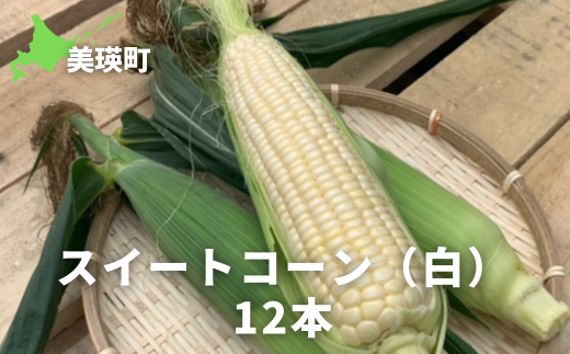 ≪令和７年産予約受付！≫サスケの家　スイートコーン（白）12本[016-60]