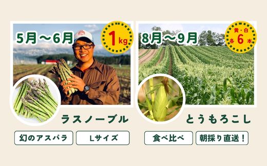 【令和８年産予約受付！】～美瑛の四季～ 野菜の定期便【白樺】4回便