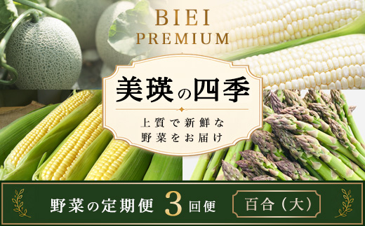 【令和9年産 先行予約】野菜 定期便 3回便 美瑛の四季～百合（大）～ アスパラ メロン とうもろこし