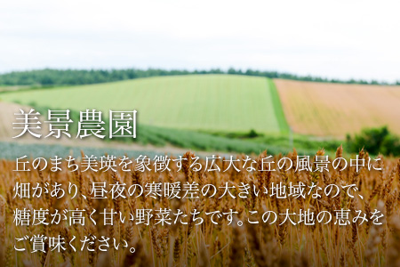 [017-67]≪令和８年産予約受付！≫美景農園　秋の味覚６点セット