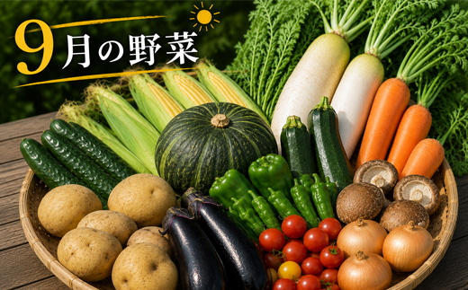 【令和8年産】旬の野菜7～9種の詰め合わせセット 9月発送 美景農園