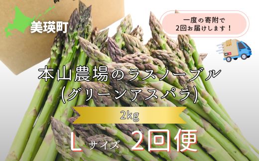 【2025年産！】北海道 美瑛町幻のアスパラ 本山農場のラスノーブル（グリーンアスパラ）Lサイズ 2kg ≪2回便≫[036-38]