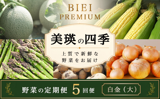 【令和9年産 先行予約】野菜 定期便 5回便 美瑛の四季～白金（大）～ アスパラ メロン とうもろこし じゃがいも 玉ねぎ