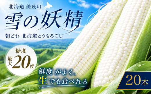 【令和８年産予約受付！】黒木農場　とうもろこし（雪の妖精）20本[016-91]