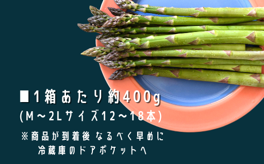 令和７年産！ 幻のアスパラ ラスノーブルHAKOIRI「畑発・冷蔵庫のドアポケット行」×4箱　墫乃字[030-91]