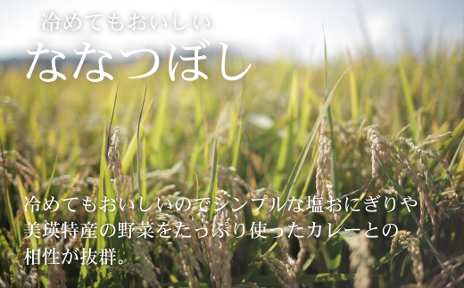 ≪令和８年産予約受付！≫美景農園　新米 ななつぼし10kg [030-106]