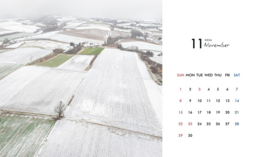  [006-22] 写真家 坪井 智洋 美瑛の風景 2026年卓上カレンダー